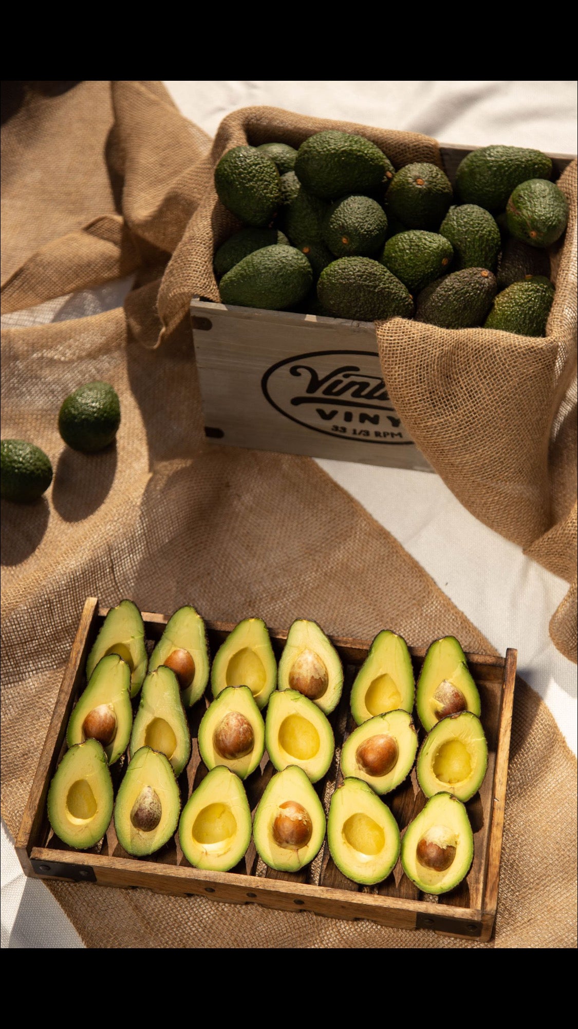 12 to 16 (5lbs) California Organic Avocados