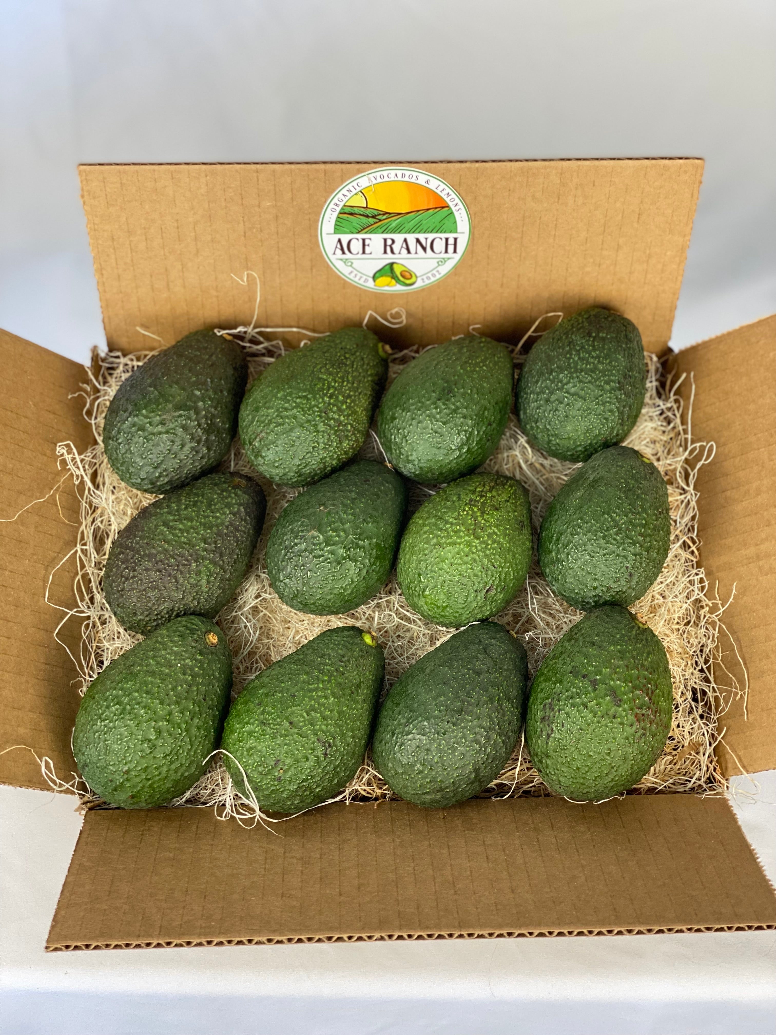 12 to 16 (5lbs) California Organic Avocados – Ace Ranch Avocados 12 to 16 (5lbs) California Organic Avocados – Ace Ranch Avocados