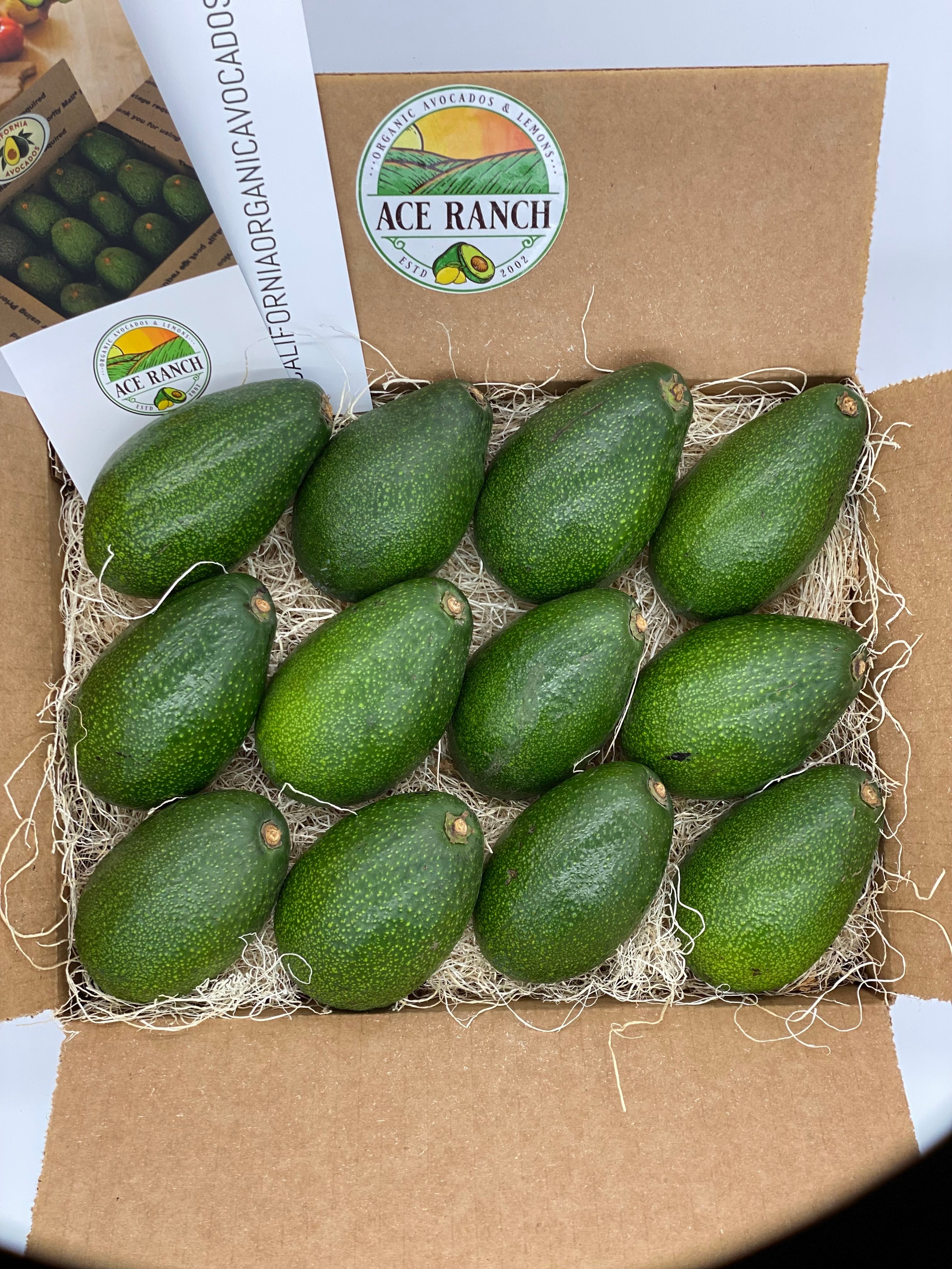 6 to 12 (5lbs) California Organic Bacon Avocados