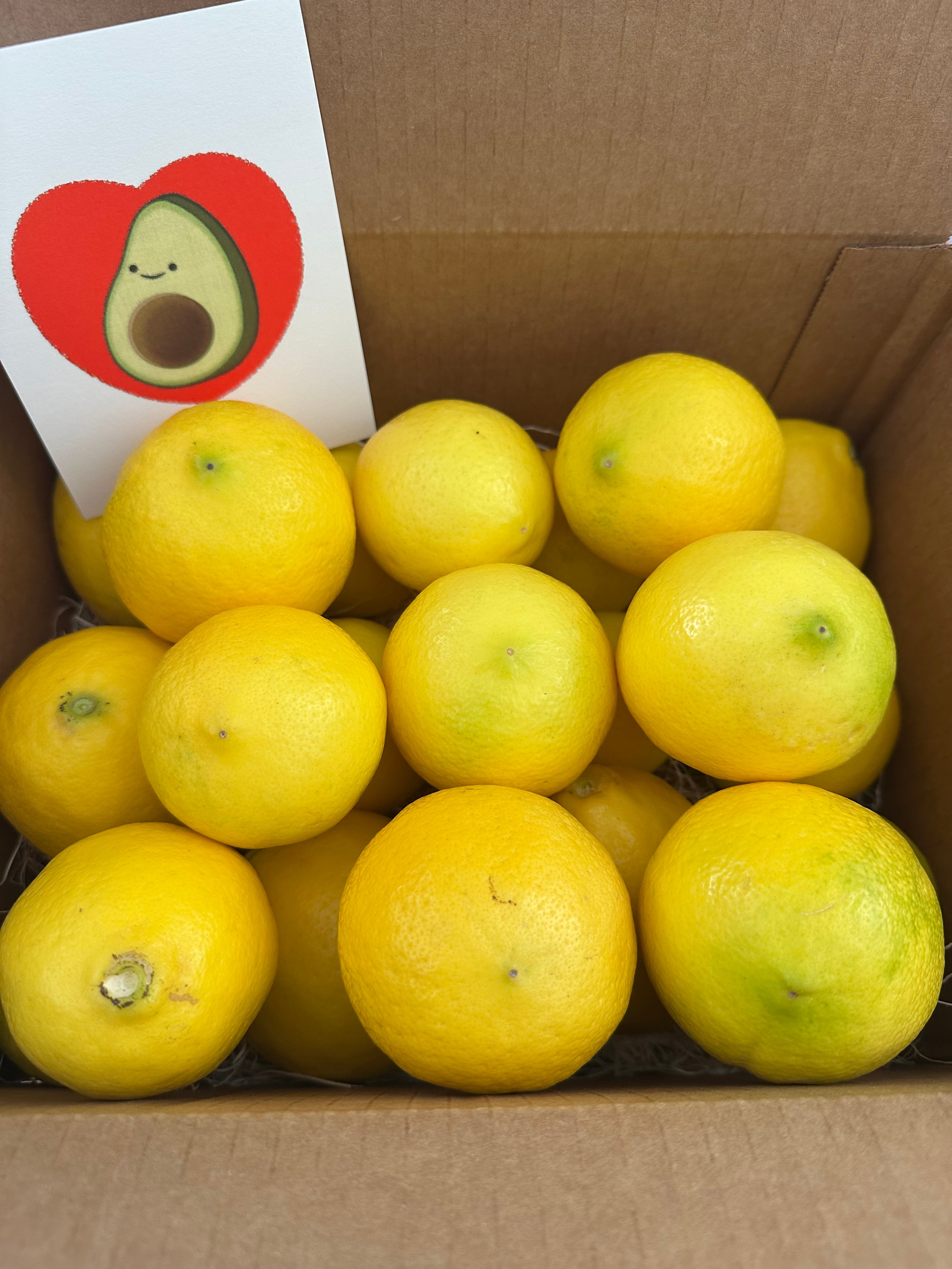 5lbs California Organic Meyer Lemons