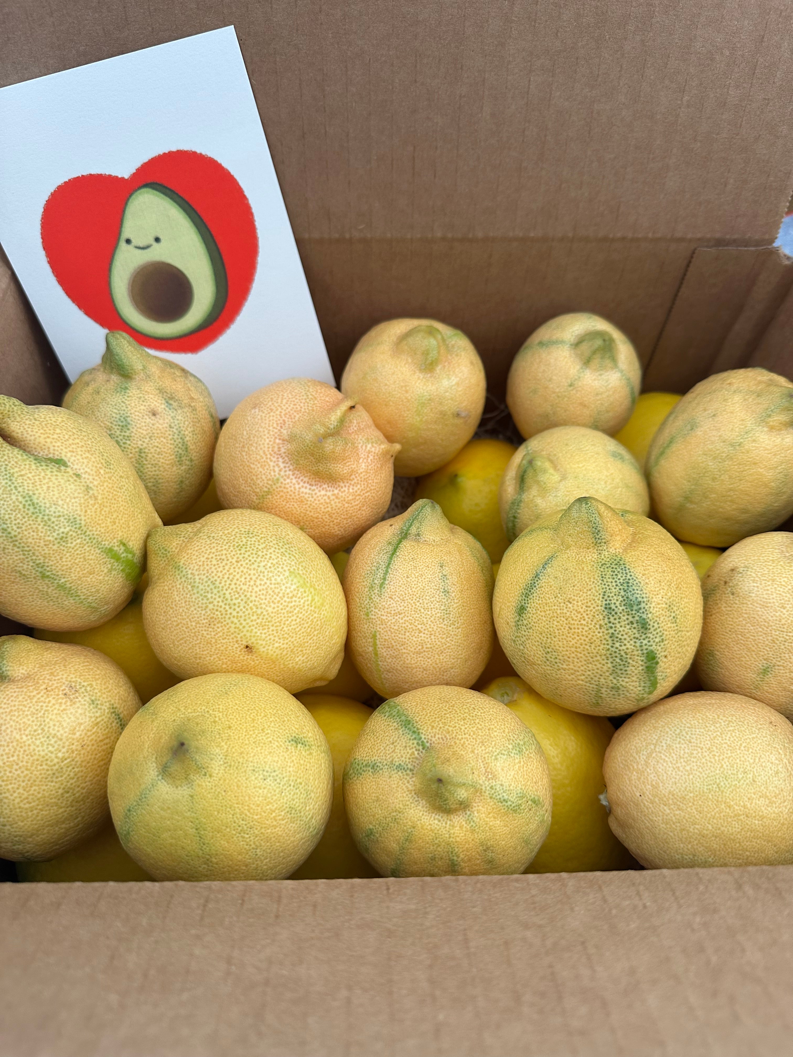 5lbs California Organic Pink Lemons