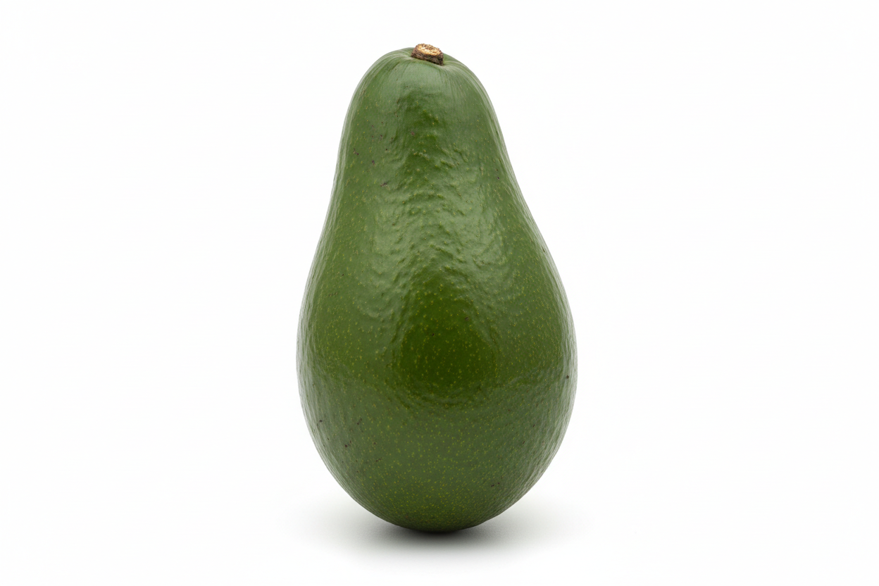fuerte avocado