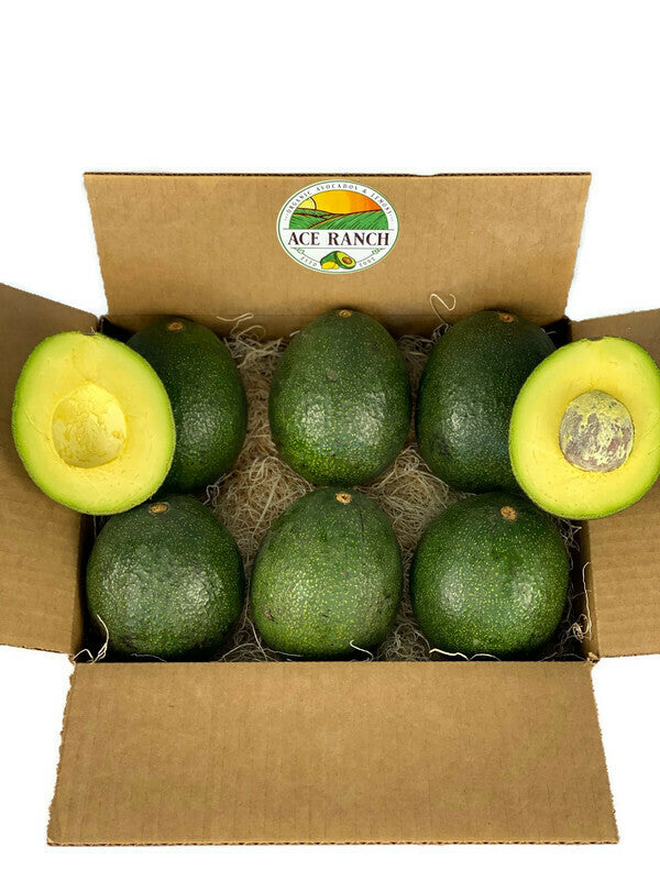 6 (5lbs) California Organic Reed Avocados